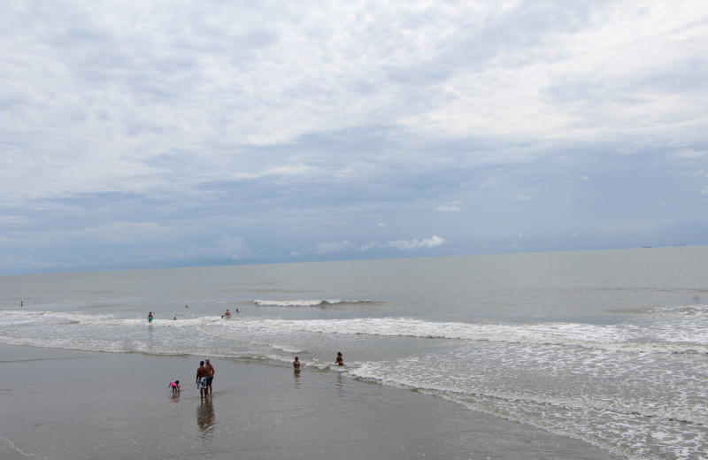 Beach at Sea Cabin 302 A.