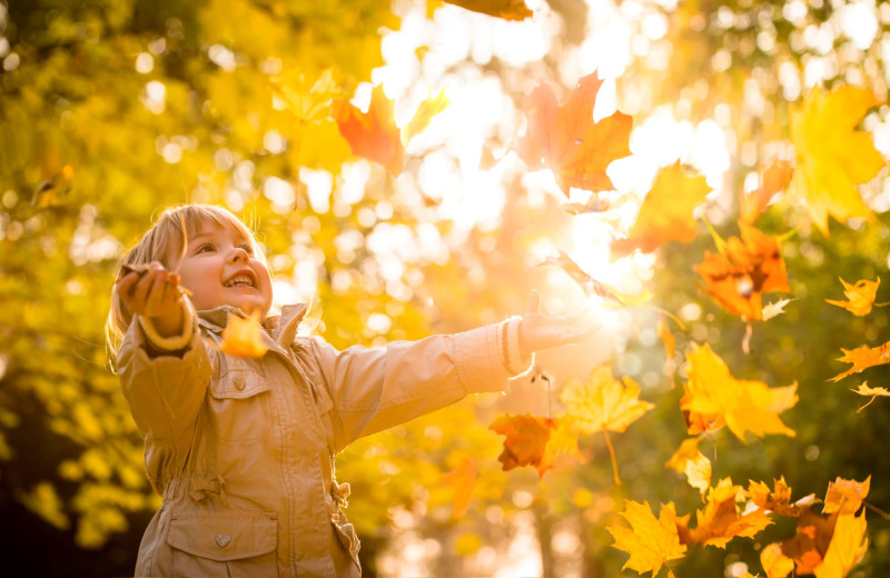 Kid in leaves at Mount Battie Motel.