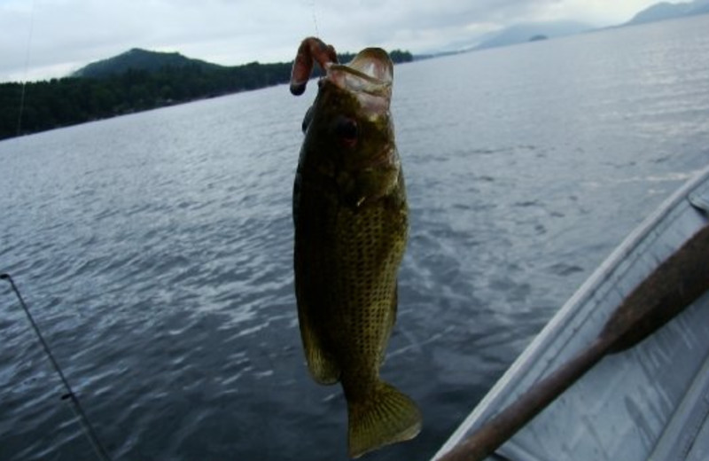 Fishing at Diamond Cove Cottages.