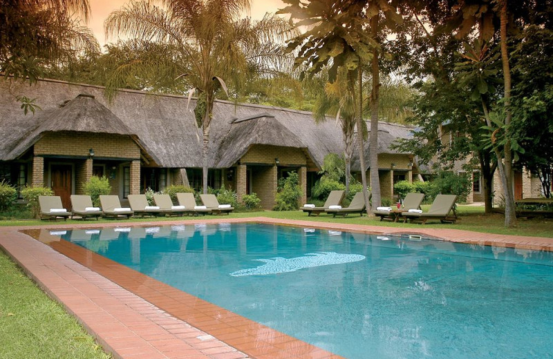 Outdoor pool at Hippo Hollow.