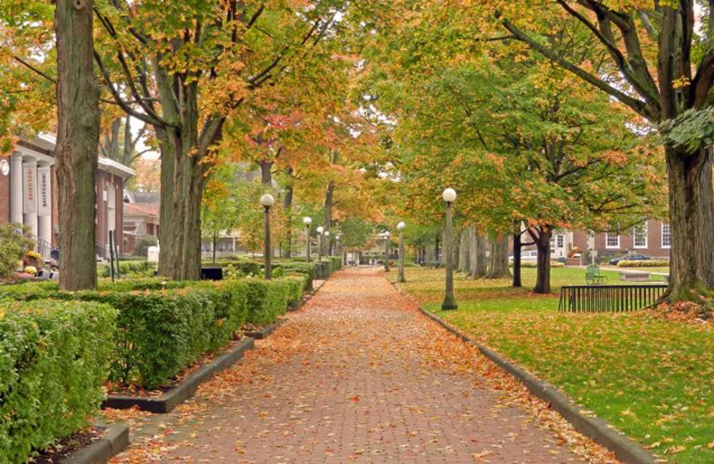 Walking path at Chautauqua Institution.