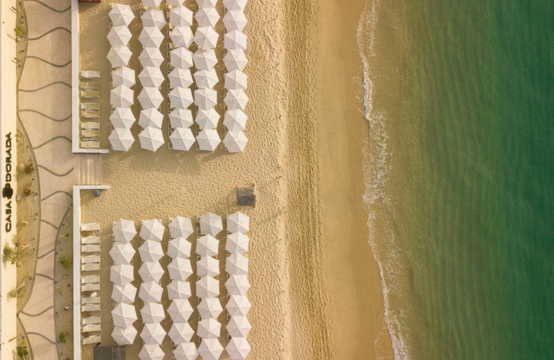 Beach at Casa Dorada Los Cabos Resort 