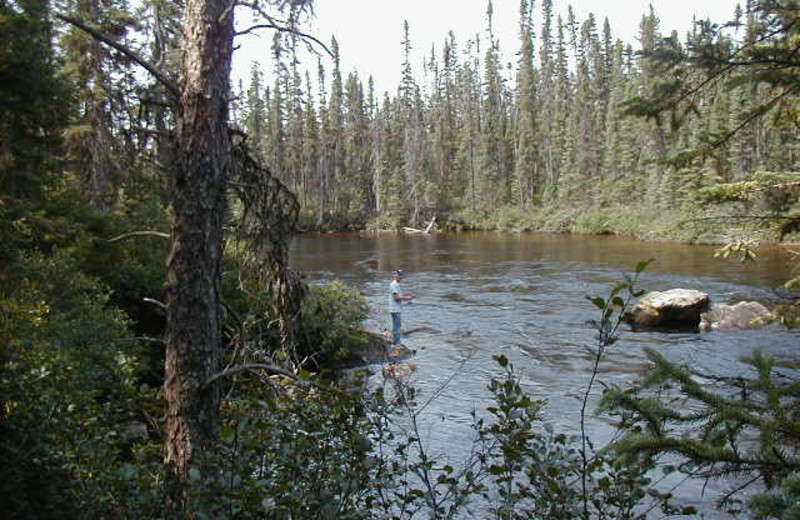 Scenic view at Lac Perdu Resort Cabins & Outfitters.