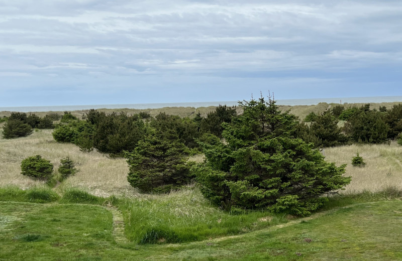 Room view at Lighthouse Oceanfront Resort.