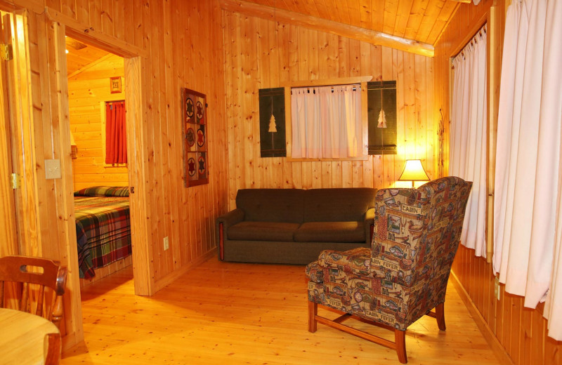 Cabin living room at Pine Terrace Resort.