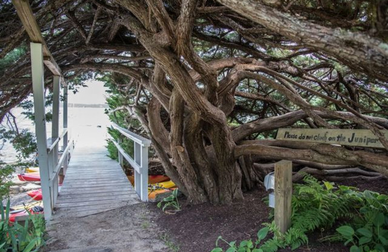 Bridge at Linekin Bay Resort.