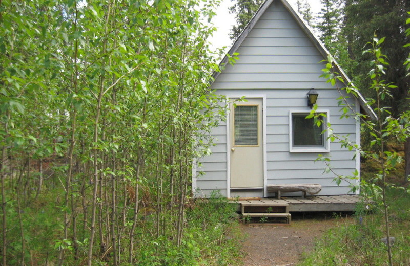 Cabin exterior at Denali Perch Resort.