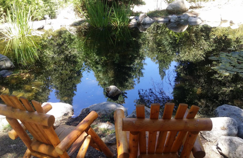 Pond at Arrowhead Pine Rose Cabins.