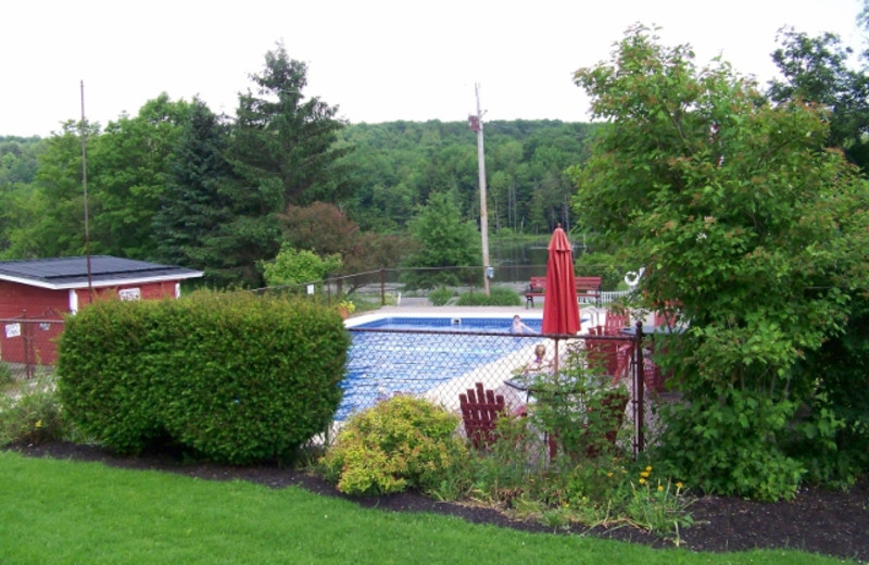 Outdoor pool at Fieldstone Farm.