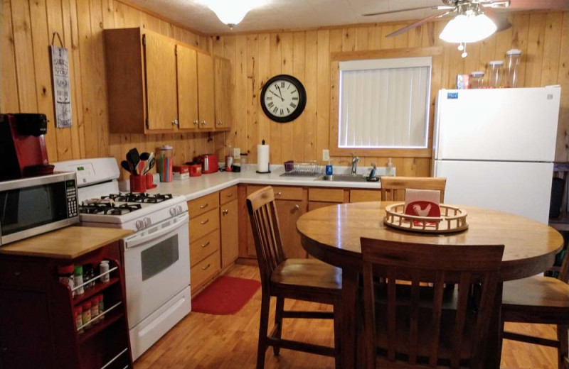 Cabin kitchen at Elm Haven Resort.