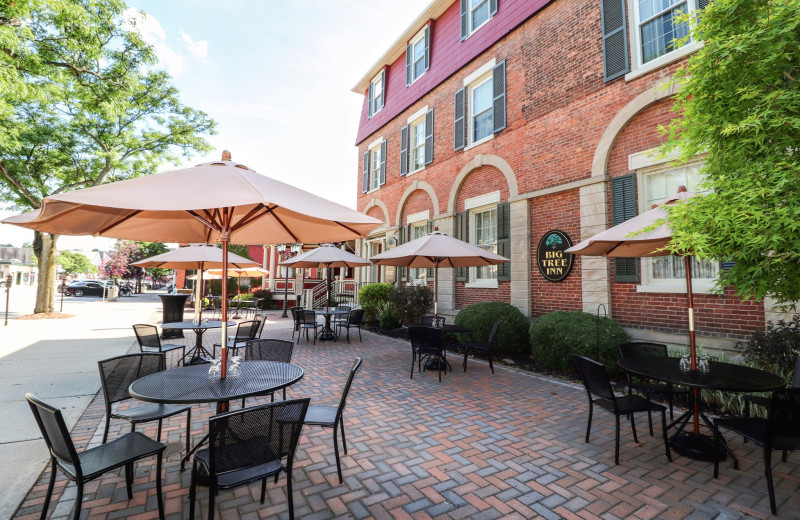 Exterior view of Big Tree Inn.