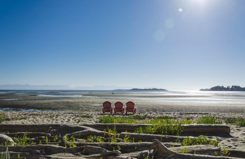Beach with chairs at Ocean Trails Resort.
