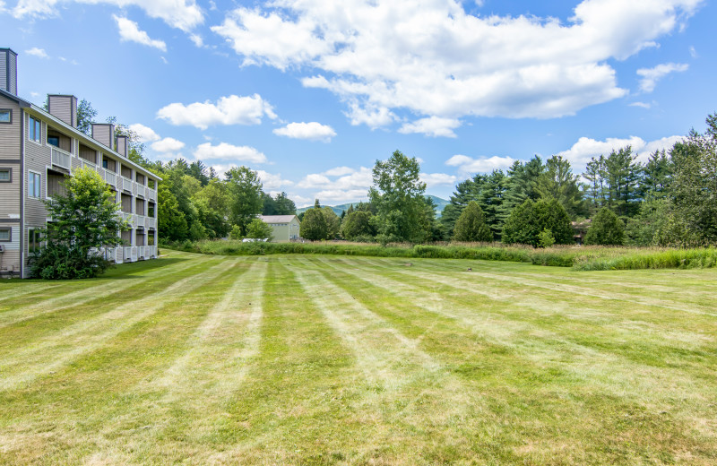 Grey Fox Inn property