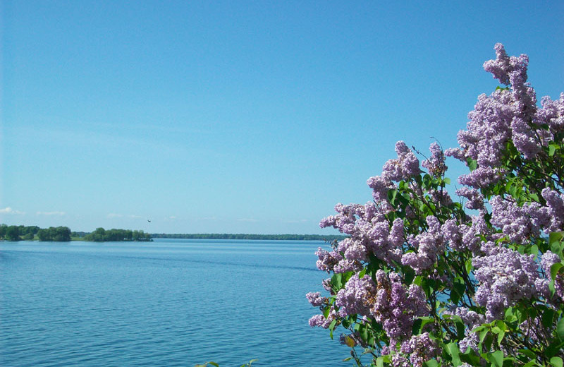 Lake view at Angel Rock Waterfront Cottages.