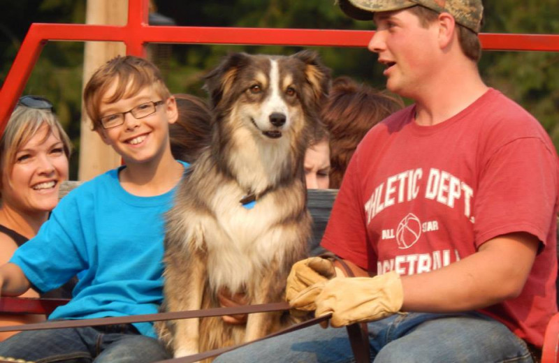 Pets welcome at Western Pleasure Guest Ranch.