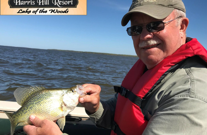 Fishing at Harris Hill Resort.