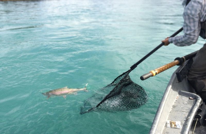 Fishing at Kenai River Drifter's Lodge.