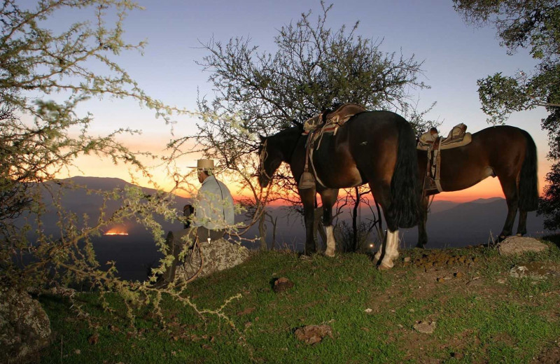 Horseback riding at Hacienda Los Lingues.