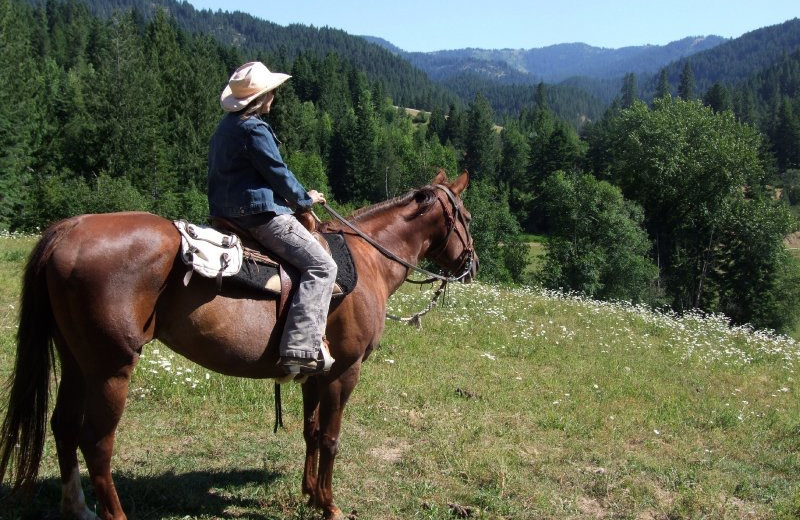 Red Horse Mountain Ranch (Harrison, ID) - Resort Reviews
