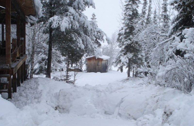 Exterior winter cabin view at Heston's Lodge.
