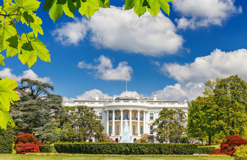 White House near American Guest House.