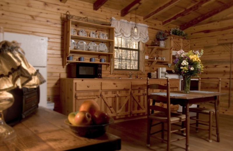 Cabin kitchen at Silver Ridge Resort.