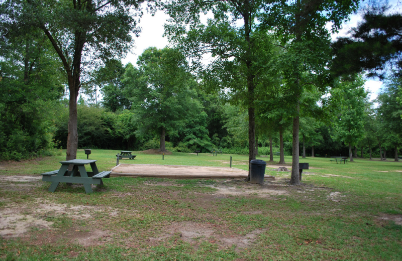 Campsite at Gulf Pines RV Park.