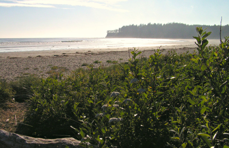 Beach near Olympic Foothills Lodge.