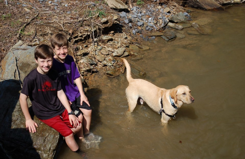 Pets welcome at Little Valley Mountain Resort.