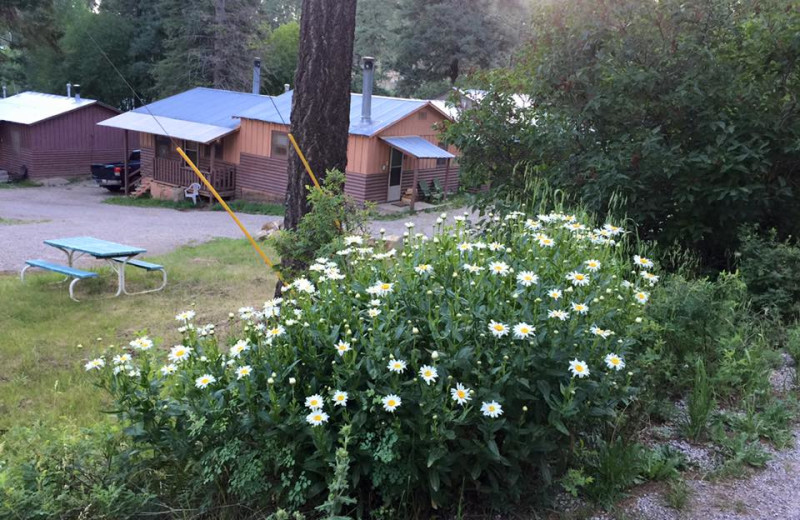 Exterior view of The Cabins at Cloudcroft.