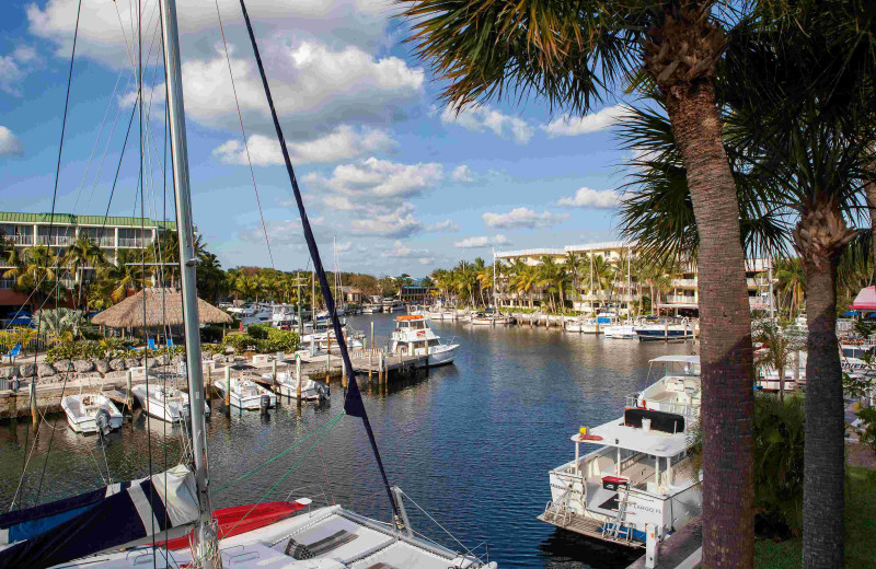 Marina at Holiday Inn, Key Largo Resort and Marina.