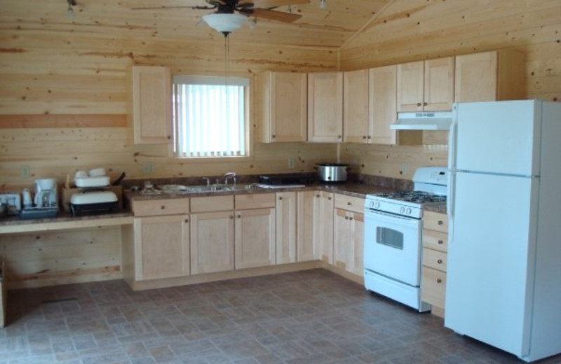 Cabin kitchen at Anchor Inn Resort.