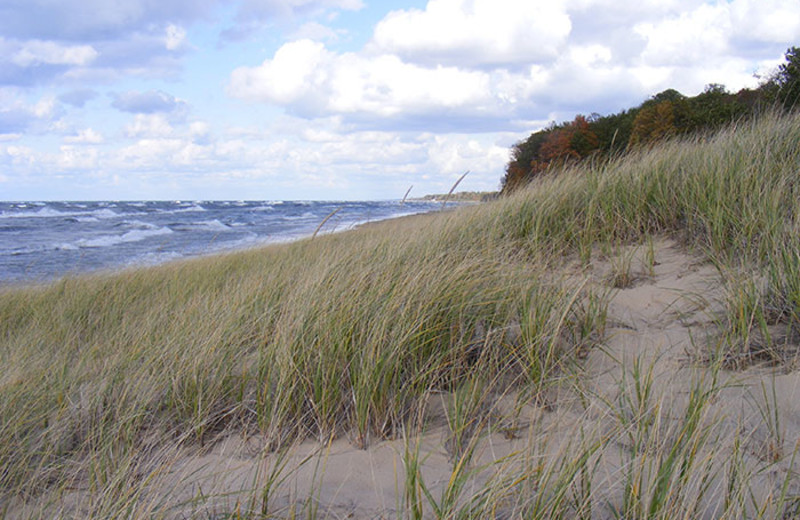 Park near The Hotel Saugatuck.