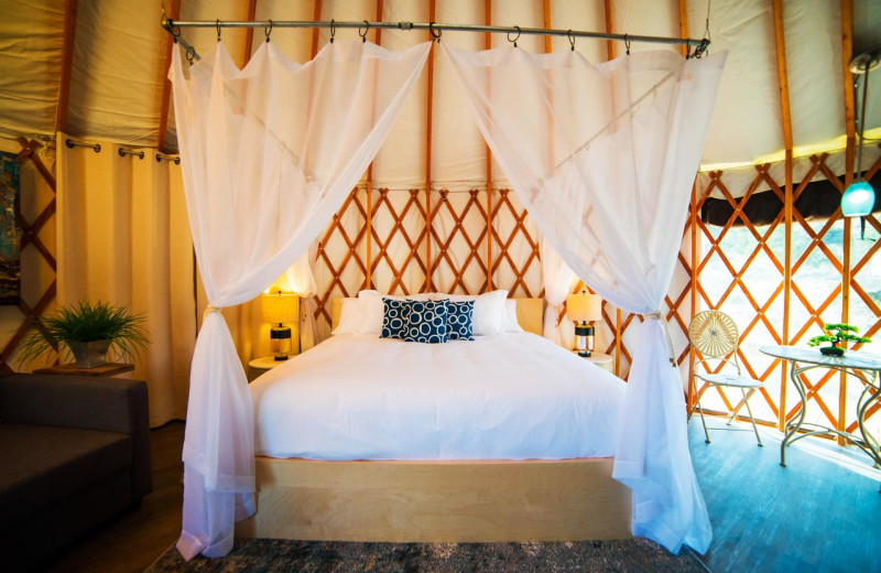 Guest bed at Escalante Yurts.