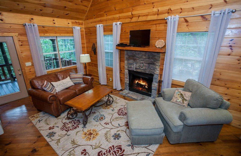 Rental living room at Wilderness View Cabins.