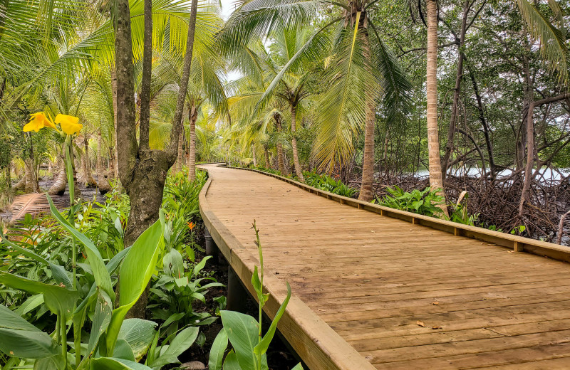 Boardwalk at Bocas Bali Resort.