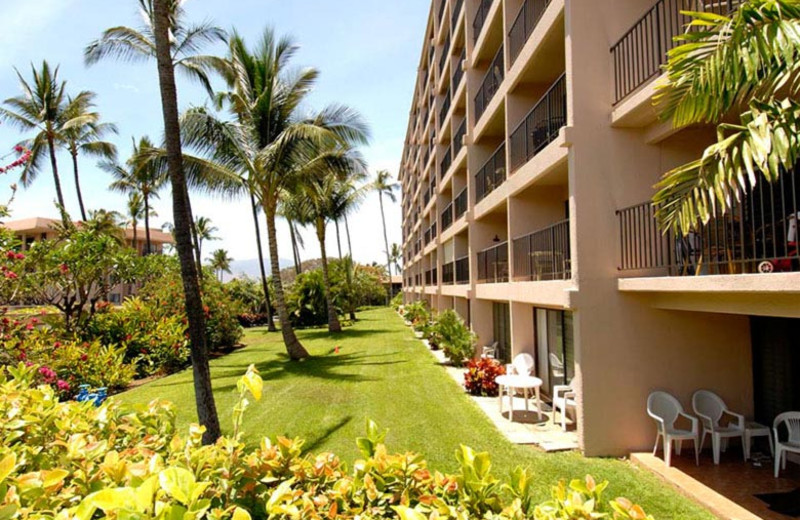 Exterior view of Kihei Akahi.