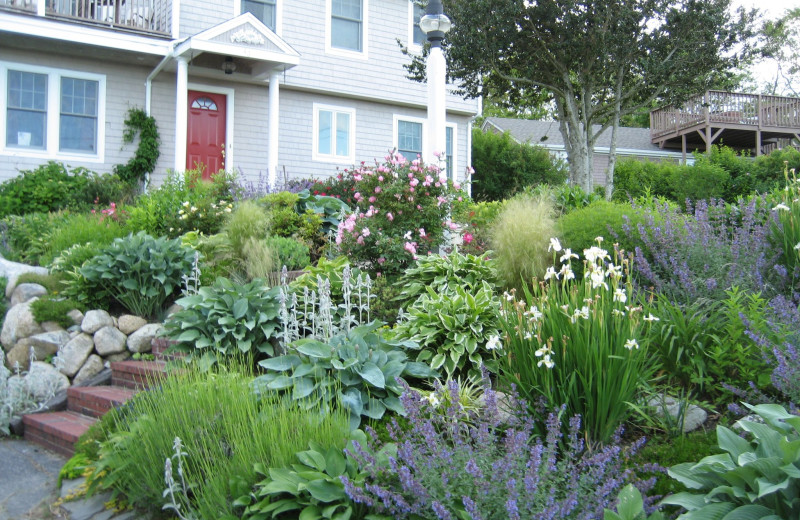 Garden view at Tidewater Inn.