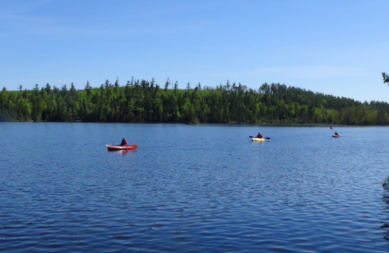 Free kayaks, canoes, and paddleboards for guests.