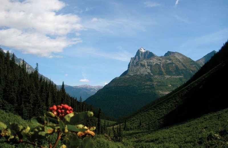 Mountains at Glacier House Resort.