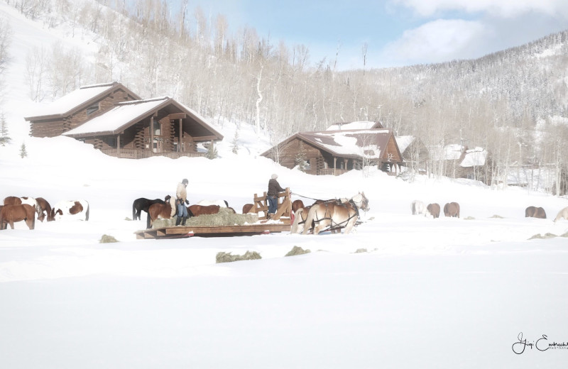 Vista Verde Ranch