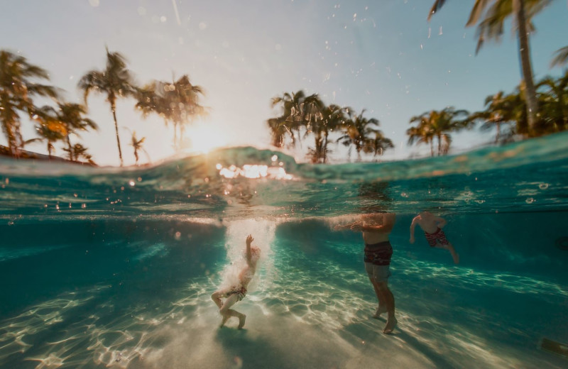 Family swimming at Tranquility Bay Beach House Resort.