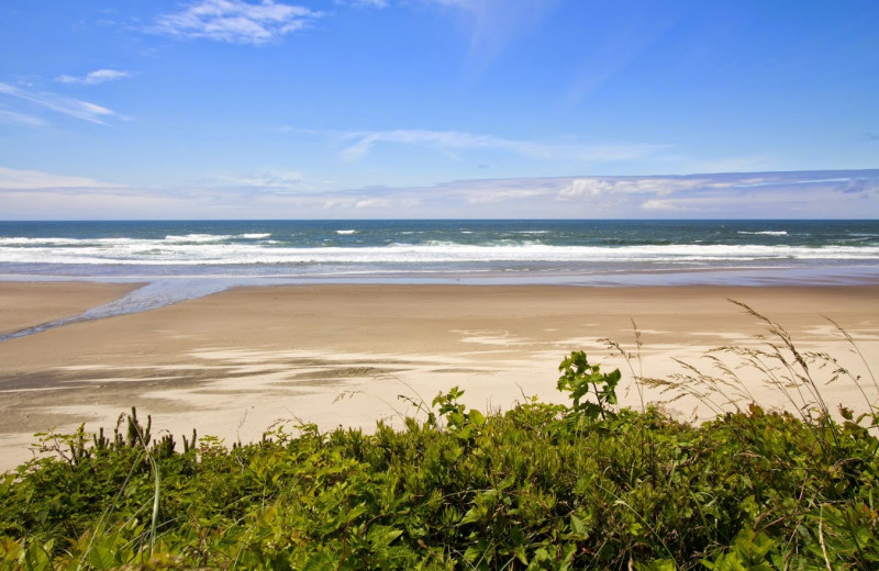 Beach view at Pelican Shores Inn.