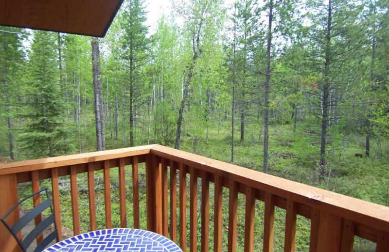 Patio View at Historic Tamarack Lodge and Cabins