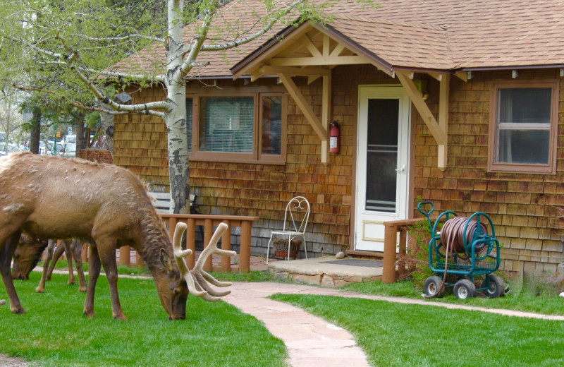 Cabin exterior at Misty Mountain Lodge.