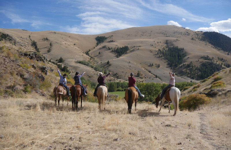 Horseback riding at Rocking Z Ranch.