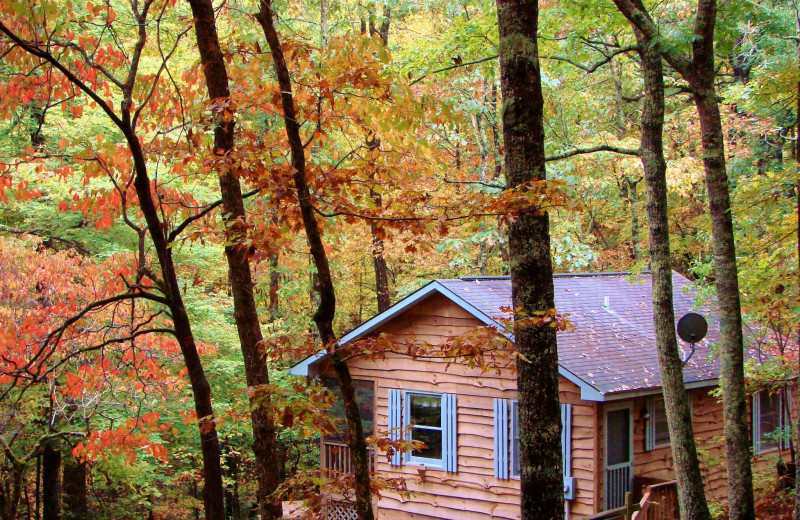 2BR cabin