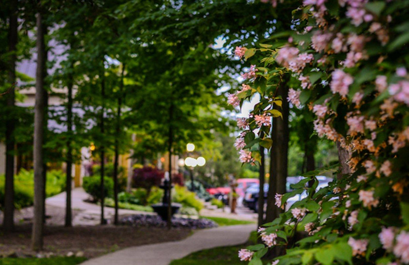 Pathway at Elm Hurst Inn & Spa.