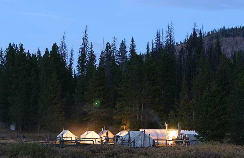 Hunting at Triangle X Ranch.