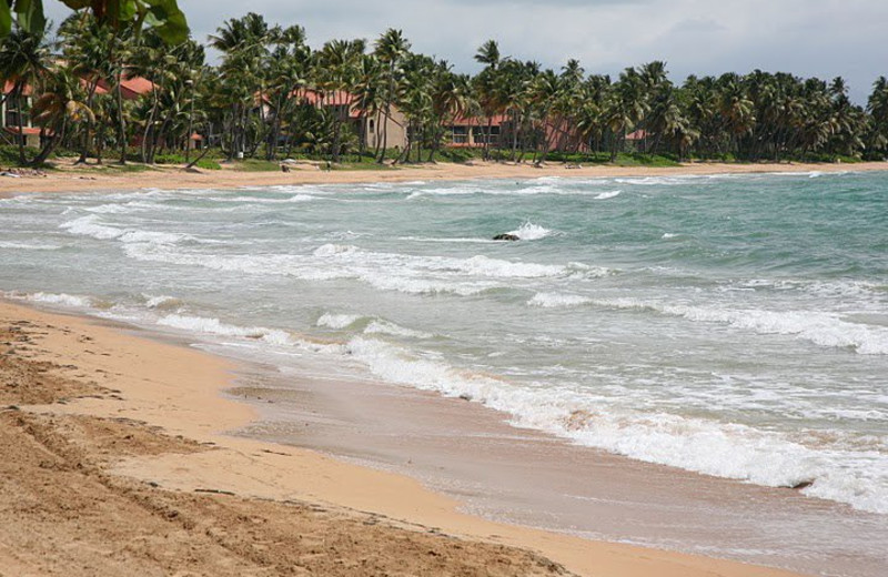 Ocean View Near Club Cala de Palmas